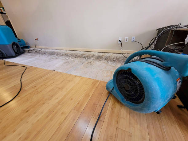 Professional Flood Damage Cleanup technician working in Malta, IL